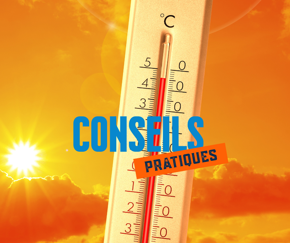 Canicule et mortier-colle : comment survivre à l’atelier cet été ?